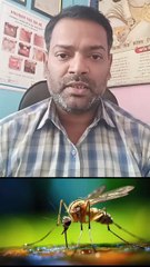 डेंगू मच्छर किस में पनपता है ।