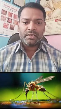 डेंगू मच्छर किस में पनपता है ।