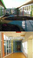 Conte  - Mi sono battuto in Europa per ottenere questi risultati (14.11.25)