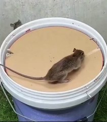 “Your Daily Dose of What’s Trending”