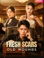 Fresh Scars Old Wounds - Beneath The Music Box - Full HD Movie