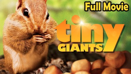 Tiny Giants (2014) Watch HD
