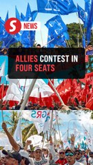 Sabah polls: BN, PH and GRS battle to go head-to-head in four seats