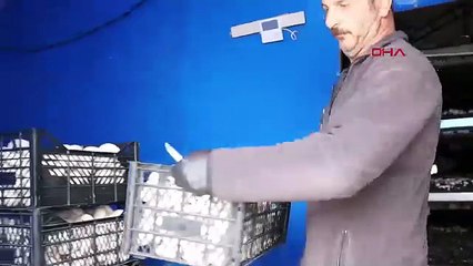 İstanbul'da yöneticilik koltuğunu bıraktı, memleketinde üretici oldu