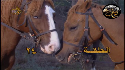 الكواسر الحلقة24 كاملة