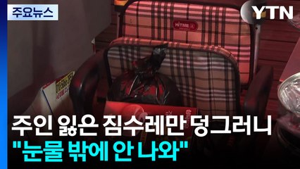 주인 잃은 짐수레만 덩그러니..."눈물 밖에 안 나와" / YTN