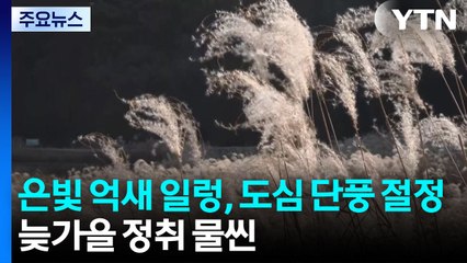은빛 억새 일렁, 도심 단풍 절정...늦가을 정취 물씬 / YTN