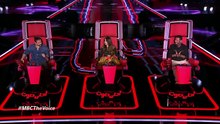 The voice 2025 / 1