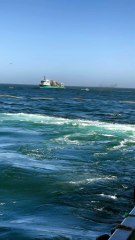 Fast fishing systems 🌻Nature , Ocean and Fishing