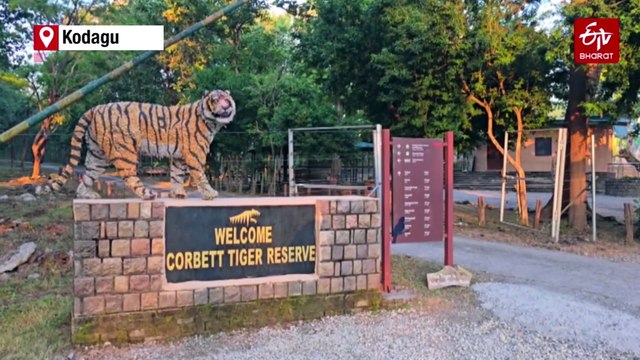 Dhikala Zone Of Jim Corbett National Park Reopens, Tourists Thrilled For First Safari Of Season