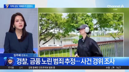 ‘애프터스쿨’ 출신 배우 나나, 자택 침입 강도 제압