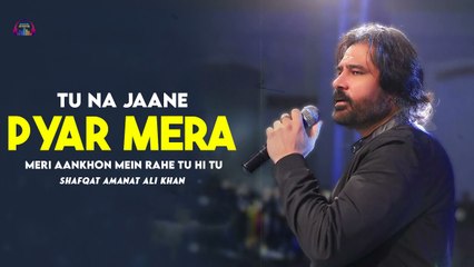 Tu Na Jaane Pyar Mera | Meri Aankhon Mein Rahe Tu Hi Tu | Shafqat Amanat Ali Khan | Video Song