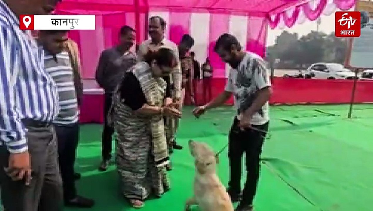 मेकअप और चश्मा लगाकर डाॅग्स ने शो में बिखेरा जलवा; कोलकाता, कर्नाटक, लखनऊ से पहुंचे श्वान, रैंप पर किया वॉक