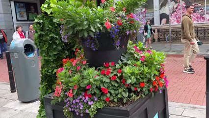 Funniest  Jumps happens with the Bushman Prank