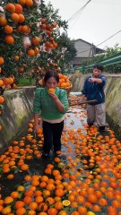 “Boss Fired Her for Eating ONE Fruit!? 🍊😂 | Funny Mausammi Drama 🤣🔥”