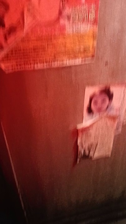 Découvertes de Toilettes Typiquement Japonaise dans un resto sur Paris.