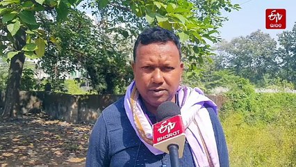 ଧାନ କାଟି ଖଳାକୁ ଆଣିଲାଣି ଚାଷୀ, ଆରମ୍ଭ ହୋଇନି ଧାନ ସଂଗ୍ରହ, କମ୍ ମୂଲ୍ୟରେ ଧାନ ବିକୁଛି ଚାଷୀ!