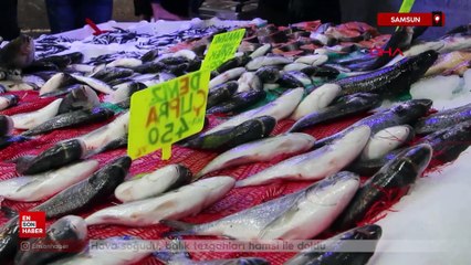 Samsun'da hava soğudu, balık tezgahları hamsi ile doldu