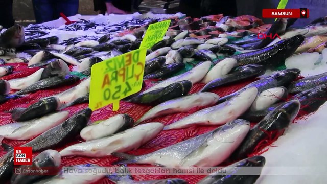 Samsun'da hava soğudu, balık tezgahları hamsi ile doldu