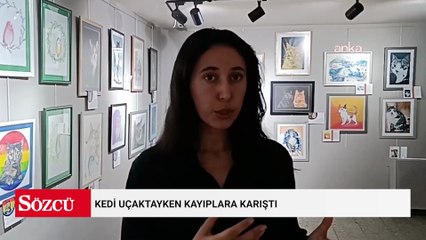 Kedi uçaktayken kayıplara karıştı