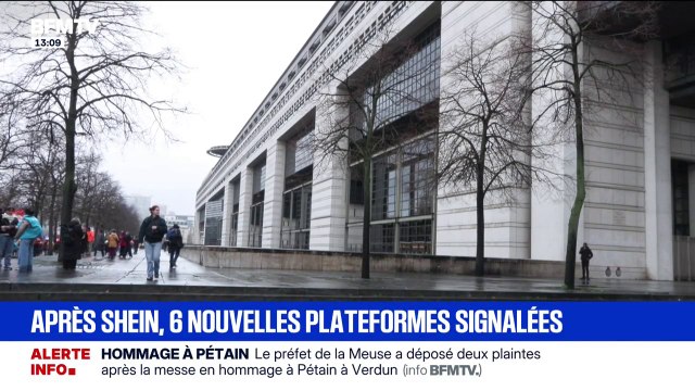 Après le scandale des poupées pédopornographiques sur Shein, la France signale six autres plateformes pour vente de produits illégaux