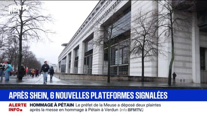 Après le scandale des poupées pédopornographiques sur Shein, la France signale six autres plateformes pour vente de produits illégaux