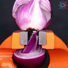 Ways to keep your food fresh longer!