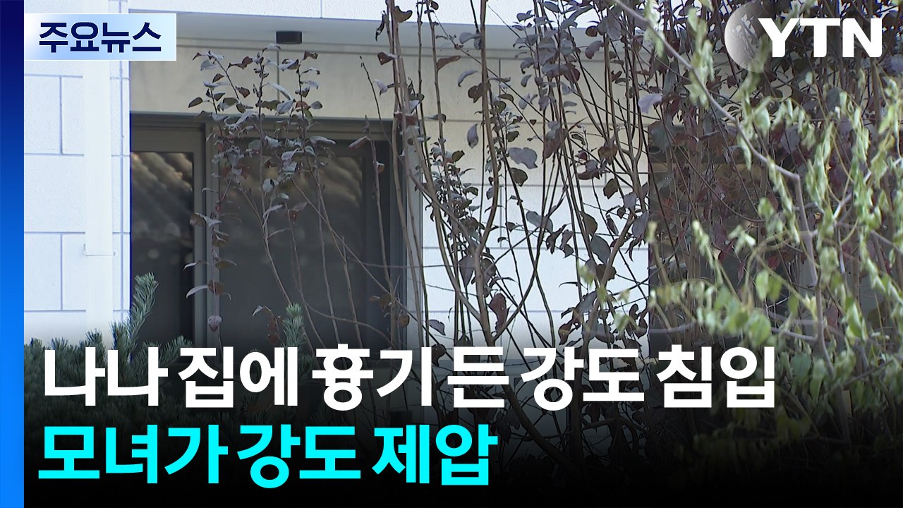 나나 집에 흉기 든 강도 침입...모녀가 강도 제압 / YTN