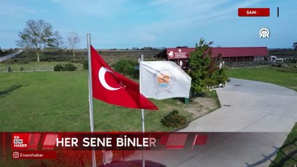 Samsun'da Kızılırmak Deltası Kuş Cenneti'ni son 2 yılda 220 bin kişi ziyaret etti
