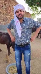 Funn Time virel comedy pum0s 🤣🤣🤣🤣🤣