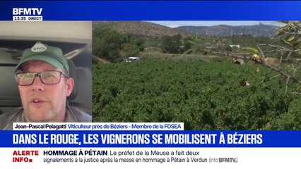 Crise viticole: "On n'a plus le temps d'attendre", se désole Jean-Pascal Pelagatti, viticulteur et membre de la FDSEA, alors que va s'élancer la manifestation des vignerons à Béziers