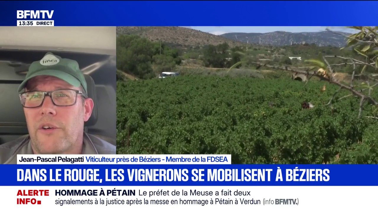 Crise viticole: "On n'a plus le temps d'attendre", se désole Jean-Pascal Pelagatti, viticulteur et membre de la FDSEA, alors que va s'élancer la manifestation des vignerons à Béziers