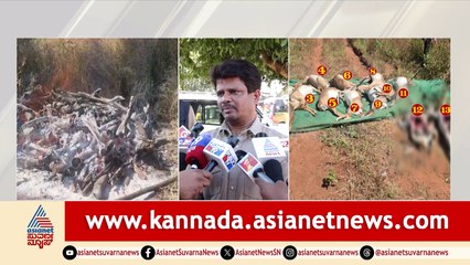 ಬೆಳಗಾವಿ: ಮಾರಣಾಂತಿಕ ಕಾಯಿಲೆಗೆ ರಾಣಿ ಚೆನ್ನಮ್ಮ ಝೂನಲ್ಲಿ 28 ಕೃಷ್ಣಮೃಗ ಸಾವು!