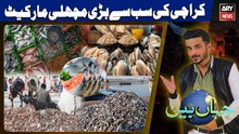 Karachi Fish Harbour | Pakistan's Biggest Fish Market | Jahan Bean - 15th Nov 2025