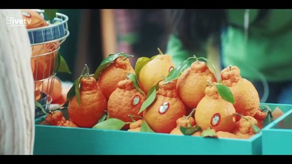 مسلسل قبلة الديناميت الحلقة 1 مترجمة المسلسل الكوري