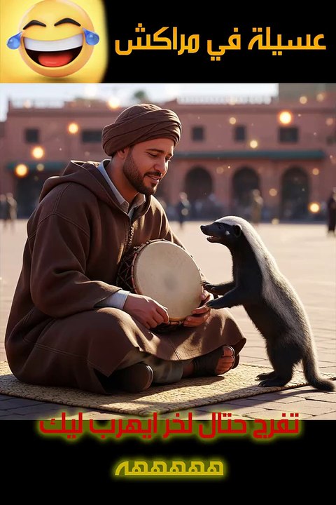 عسيلة في مراكش تفرج حتال لخر ايهرب ليك ههههههه