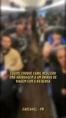 Vídeo mostra K9 BERSA em ação na apreensão de 2,1 kg de haxixe em Cascavel