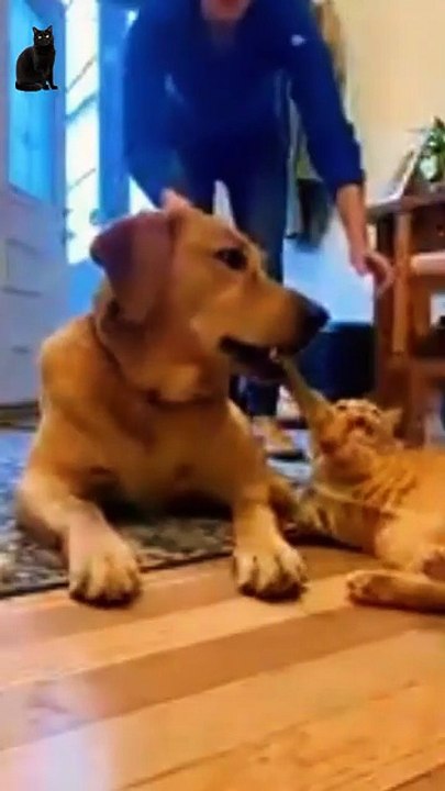 Phillies land All-Star closer Jhoan Duran ahead of MLB trade deadline 👀🔥 _JhoanDuran