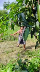 หยิบผิด🤣🤣🤣 #ตลก #ตลกฮาฮา #ฮาๆ #คลายเครียด