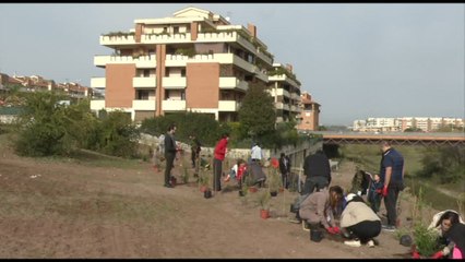 TIM pianta 400 alberi a Roma per miglioramento ambiente urbano