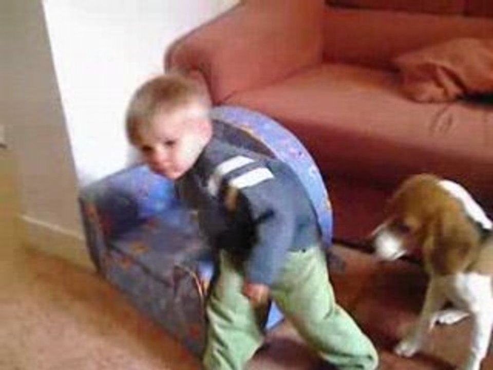 Rémy, fan de Cotton Eye Joe