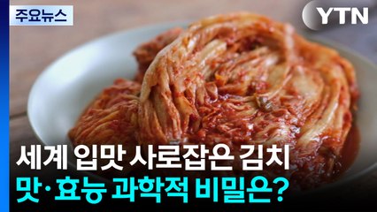 세계 입맛 사로잡은 김치...맛·효능 과학적 비밀은? / YTN