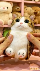 Unbox Meowl Plush Toy #meowl #newsoul #memes #meme #cat #cats #catshorts #toys #toy #plush #plushies