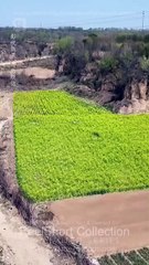 Now Racer Mom's Untouchable - Full HD Movie Uncut