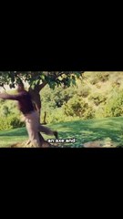 Every WORD Costs Him His Life 🍂#movisrecaps