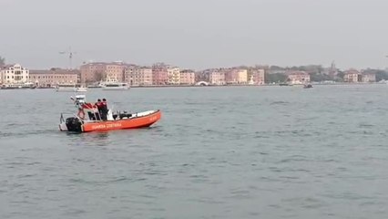 Venezia, il delfino Mimmo «guidato» con il sonar verso il mare aperto: il video