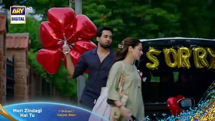Meri Zindagi Hai Tu Episode 5  Promo  Hania Aamir  Bilal Abbas Khan  ARY Digital - ARY Digital HD (360p, h264)