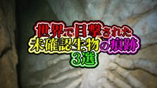 世界で目撃された 未確認生物の痕跡 3選