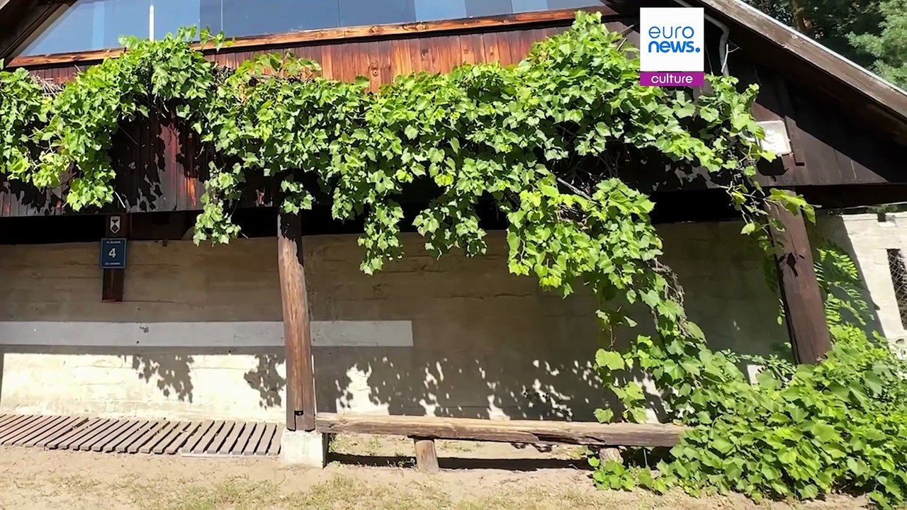 Home is where the Hansen is: Poland pays tribute to open form architecture pioneers