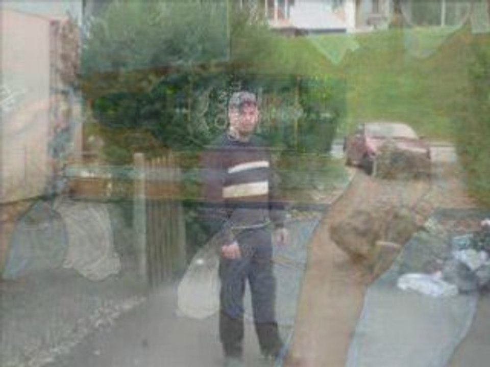 Willo_0001
